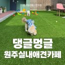 댕글멍글 이미지