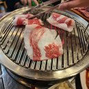 육육상회 이미지