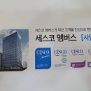 초은 스탈릿 백호 태권도장 이미지