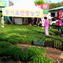 상일초교버스 정류장 티스토리