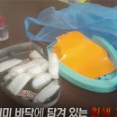네한유통 MBC