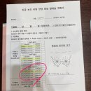 여성 유방 외과 분당유외과 : &#34;맘모톰&#34; 시술 후기