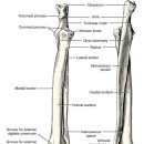 래플즈동물병원 이미지