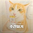현동물병원 | 7/13 ~ 7/19 주간일기