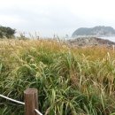 (주)우리찬 이미지