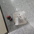 볼트피자 이미지