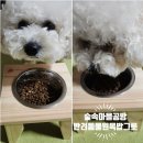 수원 인계동 숲속나무공방 원목 반려동물 높이조절 밥그릇 우드식기 후기.