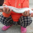 해영민박 이미지