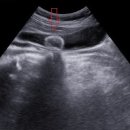 계룡내과의원 이미지