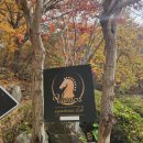 바모스하우스 이미지