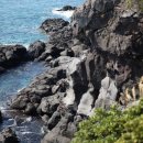 제주포인트투어 이미지