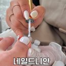 네일드니안 이미지