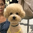 반야시스터 이미지