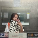 혜림쿡 | 🔎2025.07🔎