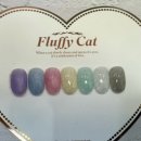 플러피캣(fluffy cat) 이미지
