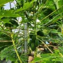 국제농자재 이미지