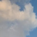 서울종합행정사LK사무소 이미지