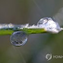 대관령가스 Daum카페