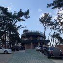 카페네스트