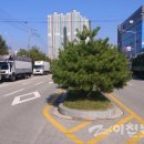 신진리사거리 이미지