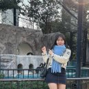 생애 첫 해외여행 🇯🇵