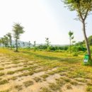 물꽃 캠핑장 이미지