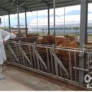 강원도동물위생시험소 이미지