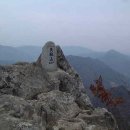 천주산식당 이미지