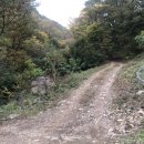 선의농원 이미지