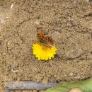 리라자연유치원 이미지