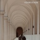 유성사랑나무