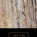 책과 글나무 한국일보