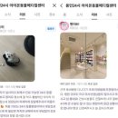 대치동물메디컬센터 | 광교동물병원, 강아지 발 염증, 산책 중 붙은 풀씨 때문일 수도 있습니다