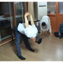 발양농장 이미지