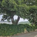 암태 송곡우실 이미지