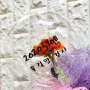 꽃풍선 & 버블 플라워 이미지