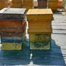 상열농장 이미지