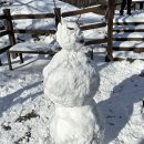 해돋이식당자판기 | 울릉도 동남쪽 뱃길따라 성인봉 등산을 했어요⛰️