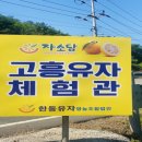 한동유자영농조합법인