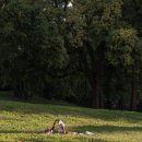 세번째 계절 이미지