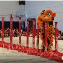 MCM-Lion Dance filled with colour, rhythm, and symbolism. 이미지