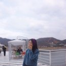 달빛우산
