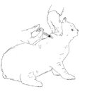 로얄동물메디컬센터w 이미지