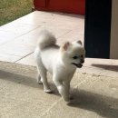 지에스25창동평화점 이미지