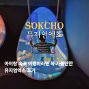 속초 가볼만한곳 놀거리 아이랑 뮤지엄엑스 방문 후기
