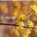 화담 곤지암 펜션 이미지