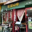 [이대/신촌] 포포나무 | 이화여대 맛집 | 솔직후기