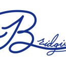 브릿지움(Bridgium)