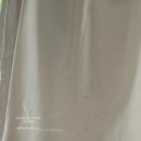 왓커피순천 | 태국 BLoG | 3박5일 치앙마이 여행🇹🇭 (+야경투어, 엘리핀팜 투어, 나이트 사파리)