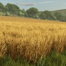 성우건설 주식회사 이미지